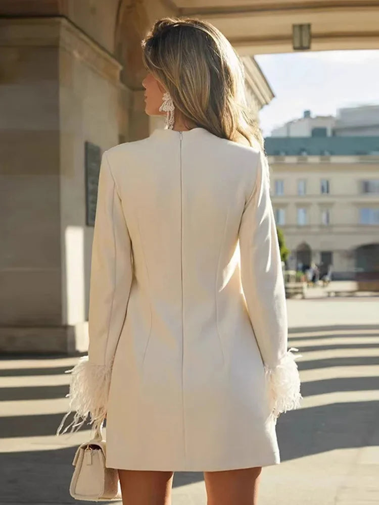 Feather Long Sleeve Mini Dress LAPANIA